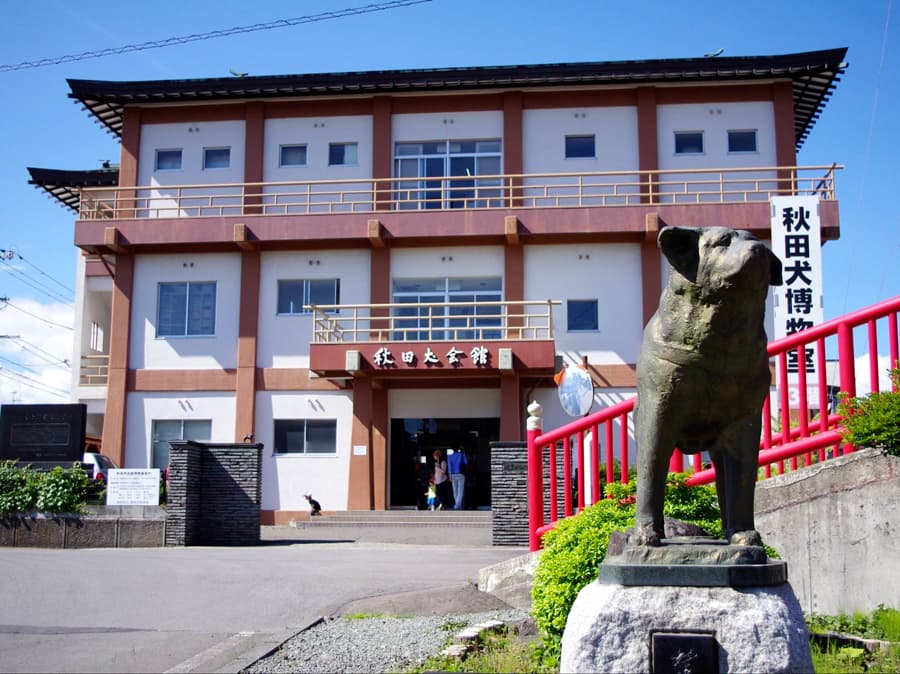 Akita Dog Museum