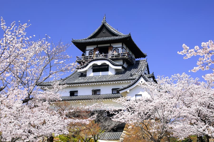 Inuyama Castle | Tỉnh Aichi Nhật Bản