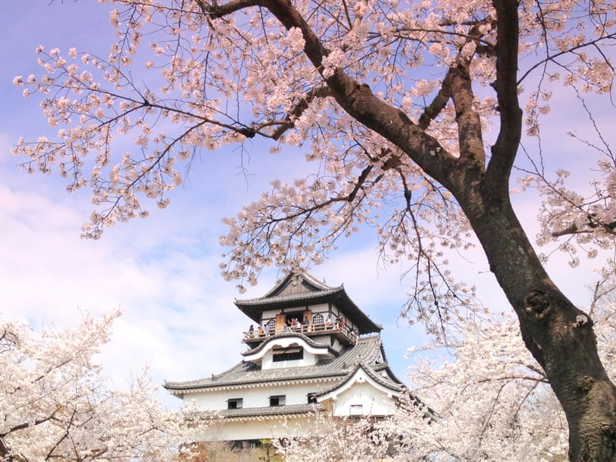 Inuyama Castle | Tỉnh Aichi Nhật Bản