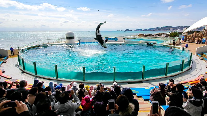 Kamogawa Sea World