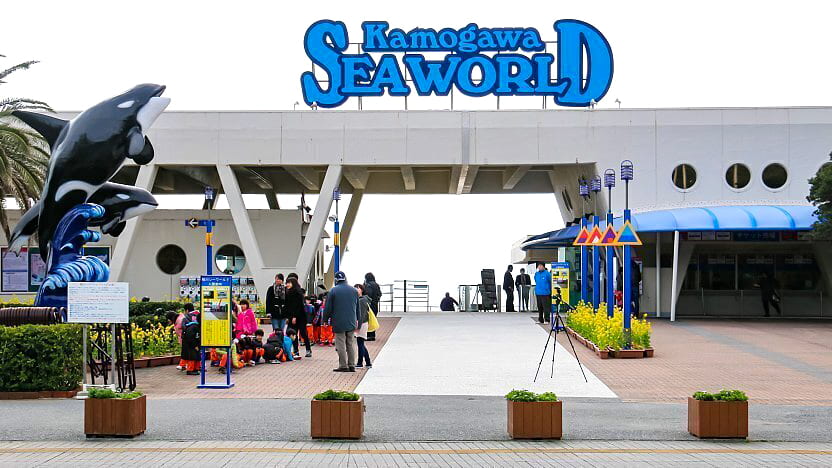 Kamogawa Sea World