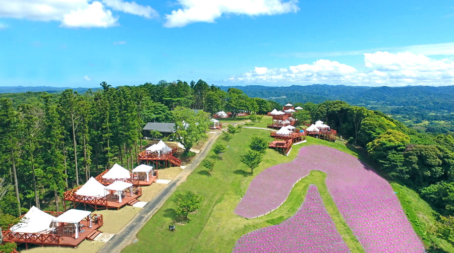 Mother Farm ở Chiba Nhật Bản