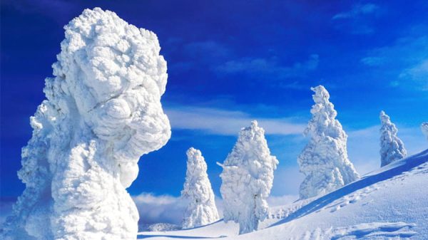 Mount Zao | Núi Zao - địa điểm nổi tiếng ở Yamagata Nhật Bản