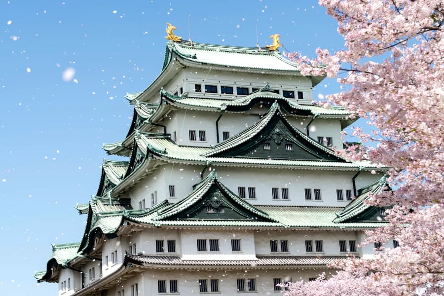 Nagoya Castle (Lâu đài Nogoya)