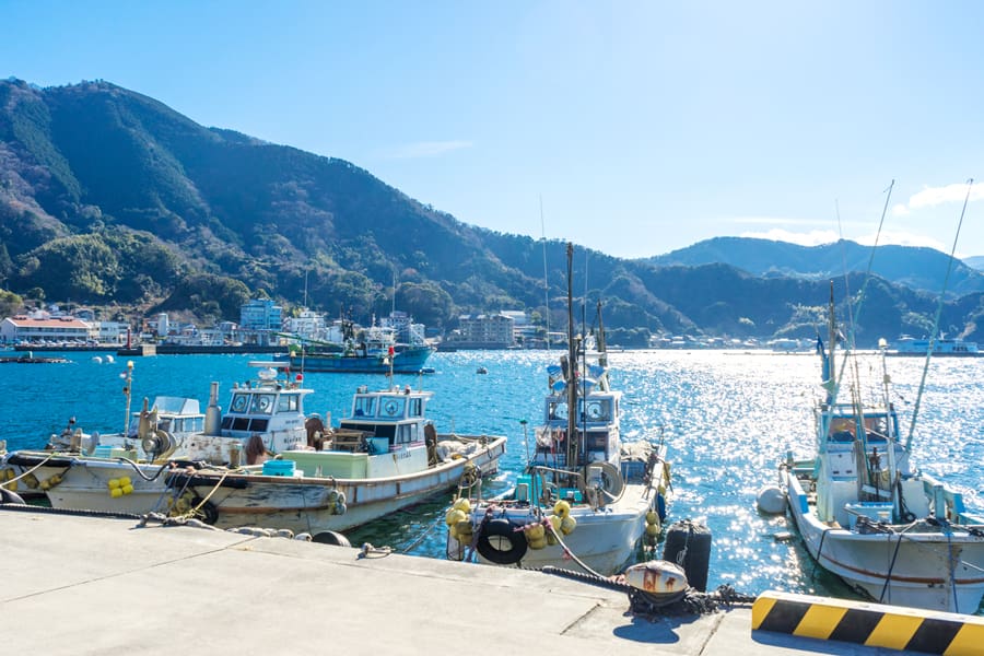 Cảng cá Narita | Narita fishing port