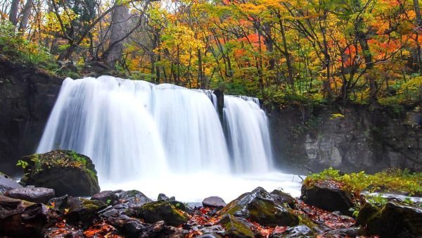 Oirase Gorge - Cảnh đẹp Nhật Bản mùa thu