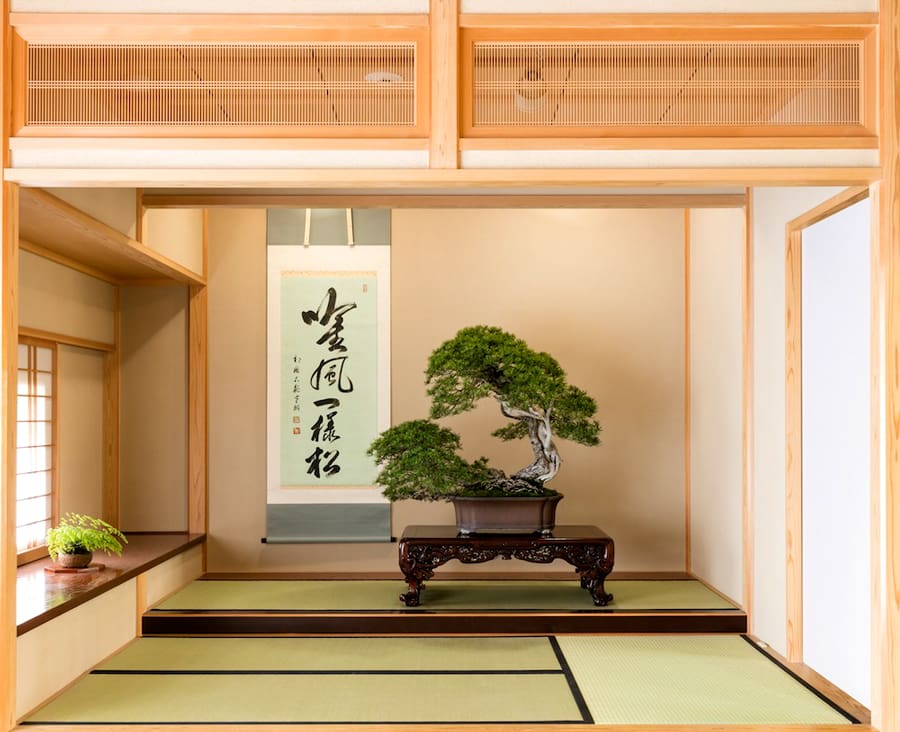 Omiya Bonsai Art Museum | Thành phố Saitama Nhật Bản