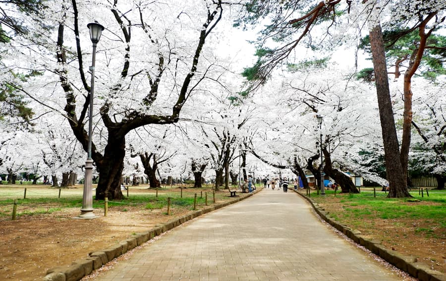 Omiya Park