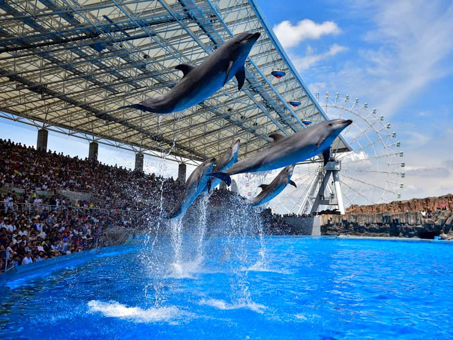 Port Of Nagoya Public Aquarium | Thành phố Nagoya Nhật Bản