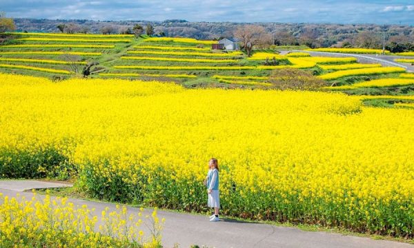 Top 29 điểm du lịch Hokkaido mùa hè hấp dẫn | Du lịch Nhật