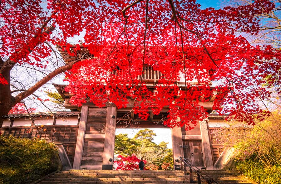 Senshu Park - Akita