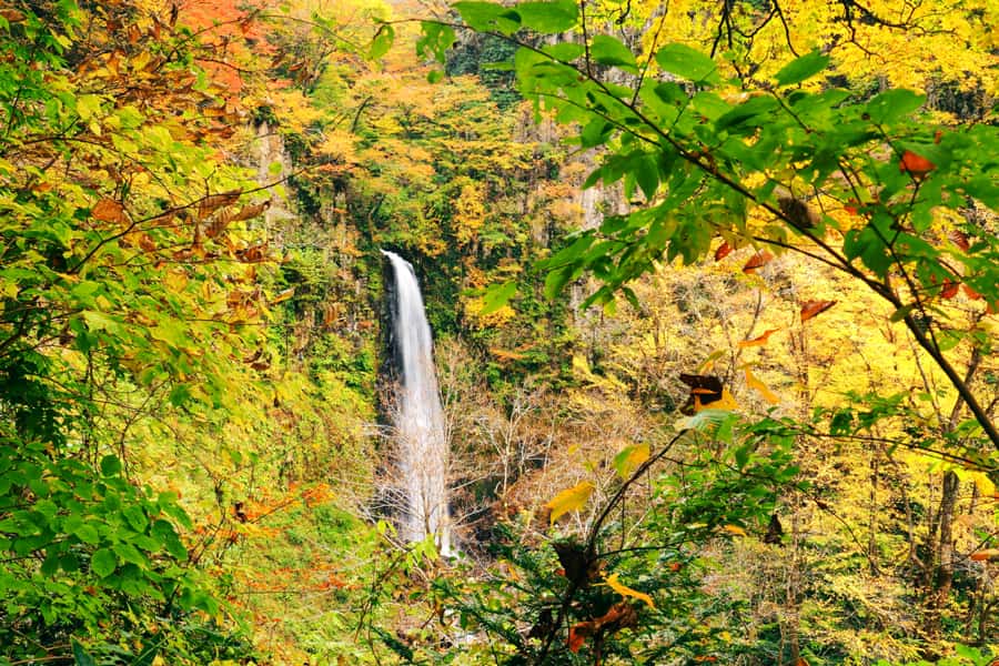 Tỉnh Tottori Nhật Bản: Vương quốc của những đồi cát lớn nhất Nhật Bản Amedaki Fall (Thác nước Amedaki) | Tỉnh Tottori Nhật Bản