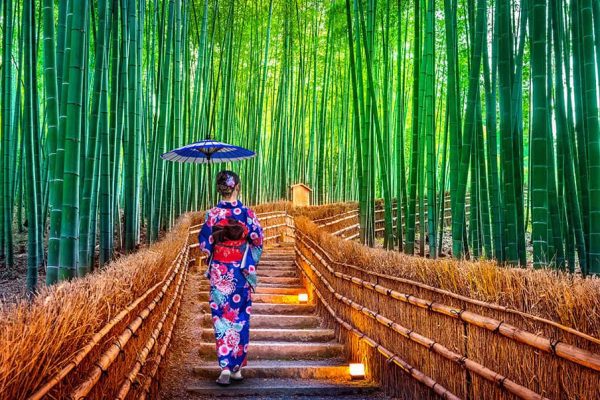 Arashiyama Bamboo Grove | Tỉnh Kyoto Nhật Bản