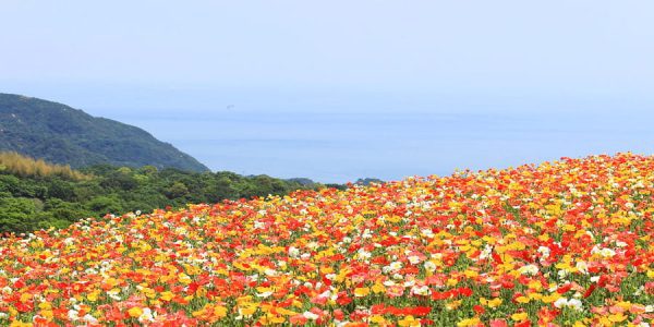 Awaji Hanasajiki Park