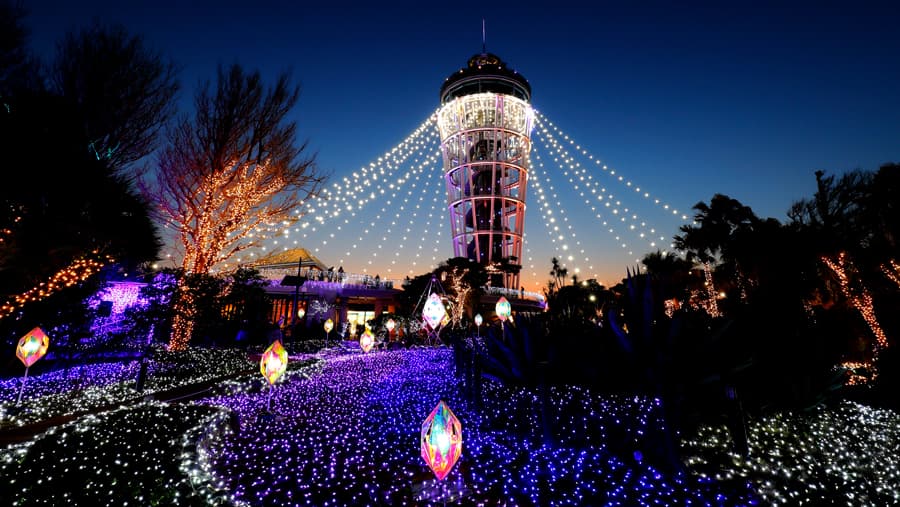 Enoshima Sea Candle