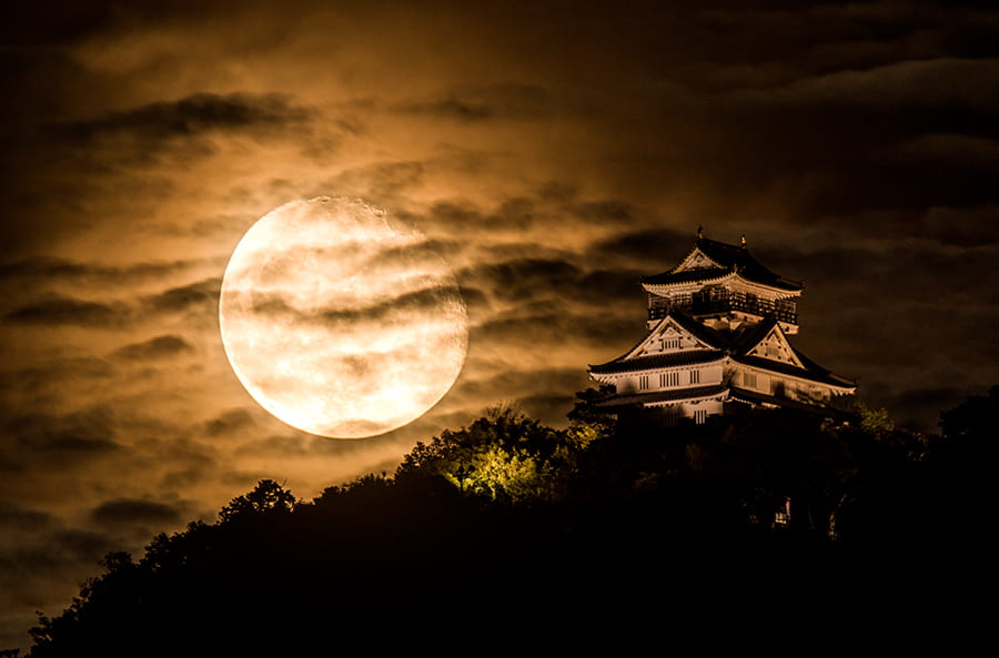 Gifu Castle (Castle Moon) | Tỉnh Gifu Nhật Bản