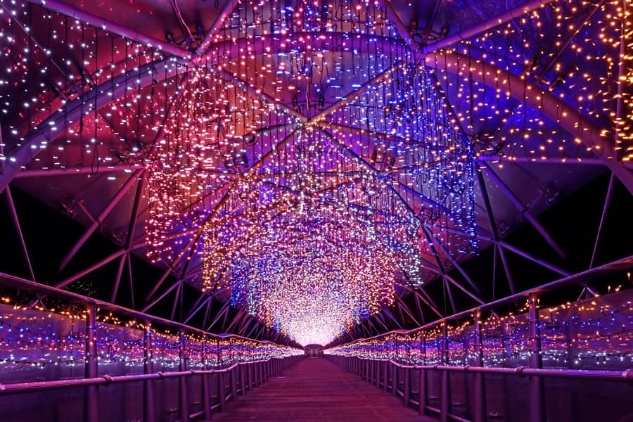Tỉnh Tottori Nhật Bản: Vương quốc của những đồi cát lớn nhất Nhật Bản Hanakairo Flower Illumination | Tỉnh Tottori Nhật Bản