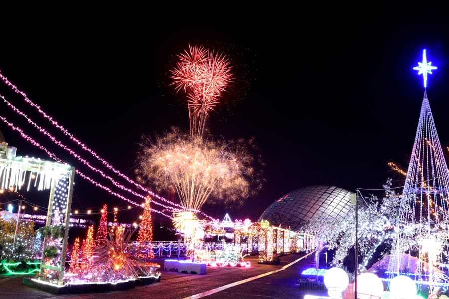 Tỉnh Tottori Nhật Bản: Vương quốc của những đồi cát lớn nhất Nhật Bản Hanakairo Flower Illumination | Tỉnh Tottori Nhật Bản