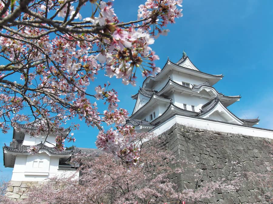 Iga Ueno Castle | tỉnh mie Nhật Bản