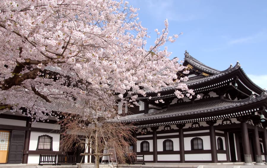 Kamakura Hasedera | Tỉnh Kanagawa Nhật Bản