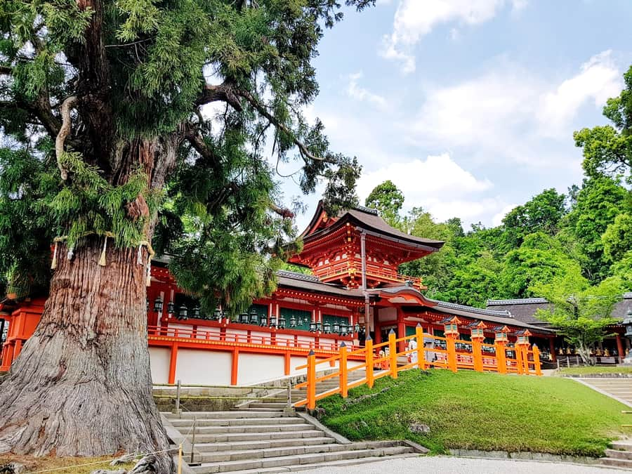 Kasuga Taisha Shrine | Thành phố Nara Nhật Bản