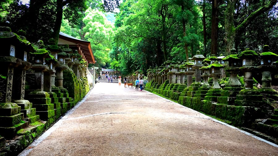 Đền Kasuga taisha với hơn 2.000 đèn lồng đá