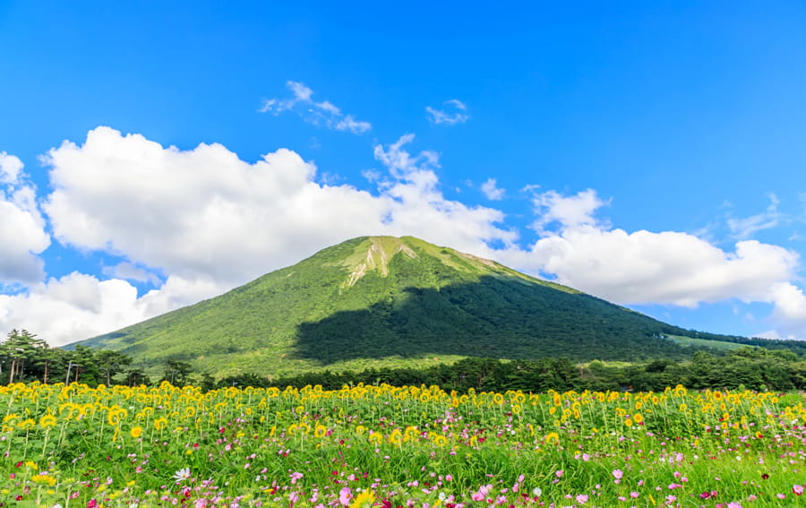 Tỉnh Tottori Nhật Bản: Vương quốc của những đồi cát lớn nhất Nhật Bản Mount Daisen (Núi Daisen) | Tỉnh Tottori Nhật Bản
