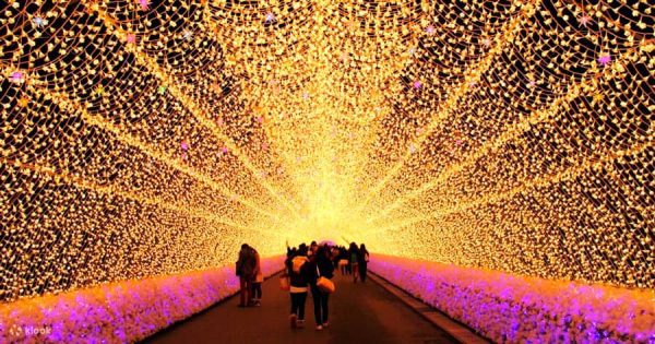 Nabana No Sato Illumination