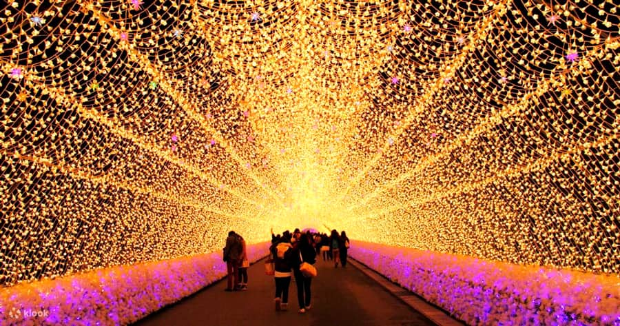 Nabana No Sato Illumination