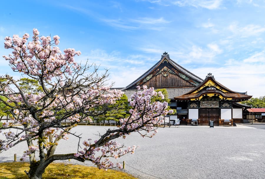 Nijo Castle (Lâu đài Nijo) | Tỉnh Kyoto Nhật Bản