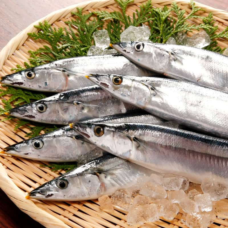 Sanma no maruboshi