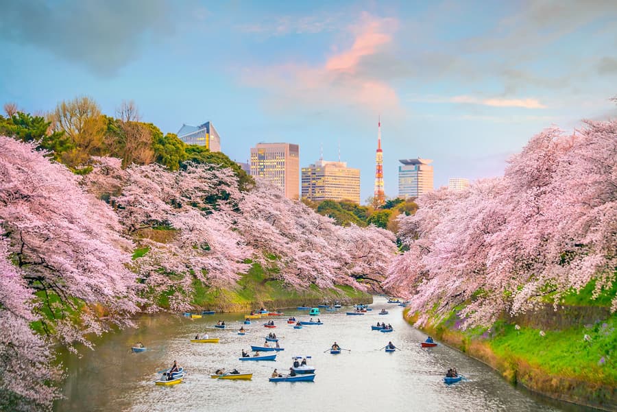 Vườn quốc gia Shinjuku Gyoen | Shinjuku Gyoen Garden - Tokyo