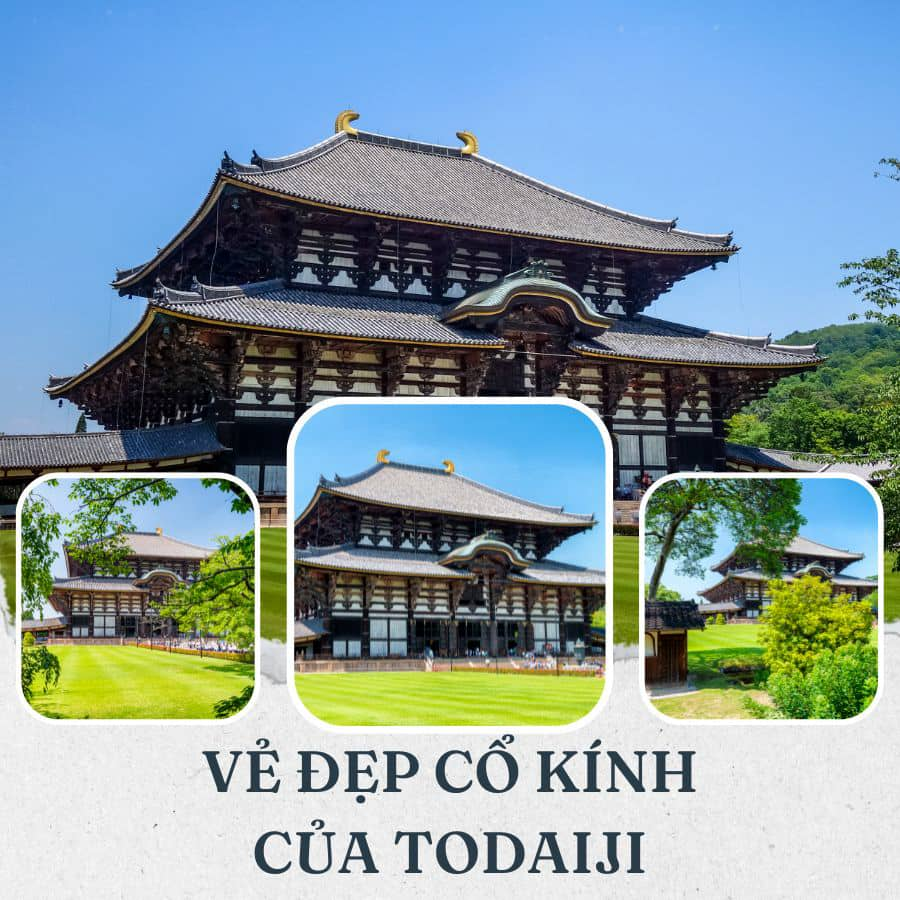 Đền Todaiji | Thành phố Nara Nhật Bản