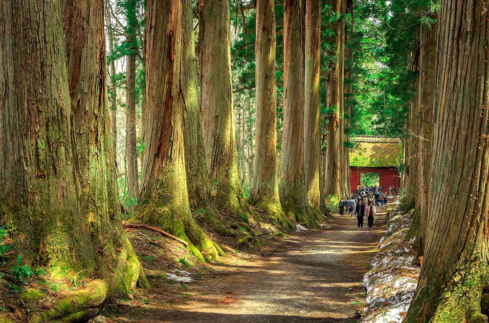 Togakushi-Jinja | tỉnh Nagano Nhật Bản