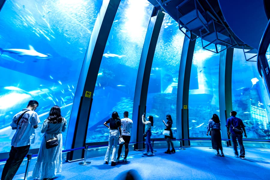 Yokohama Hakkeijima Sea Paradise