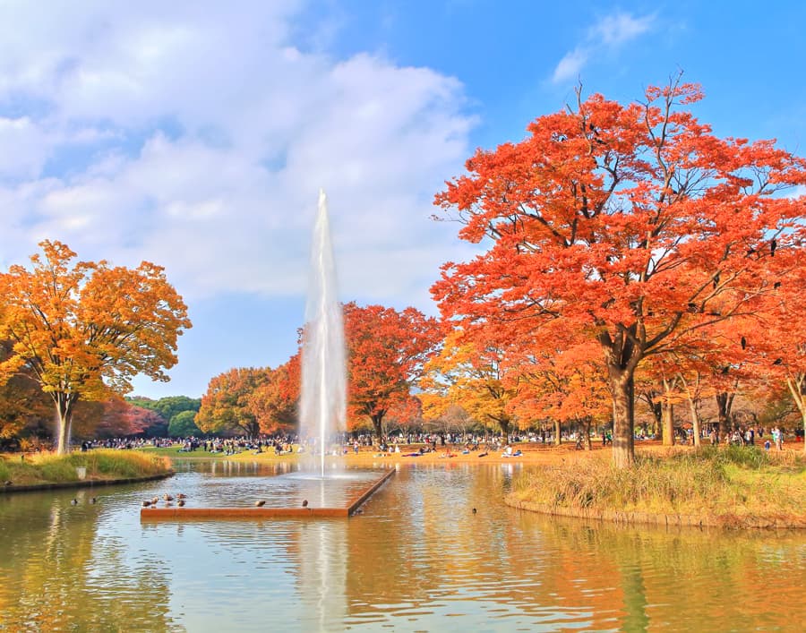 Yoyogi Park