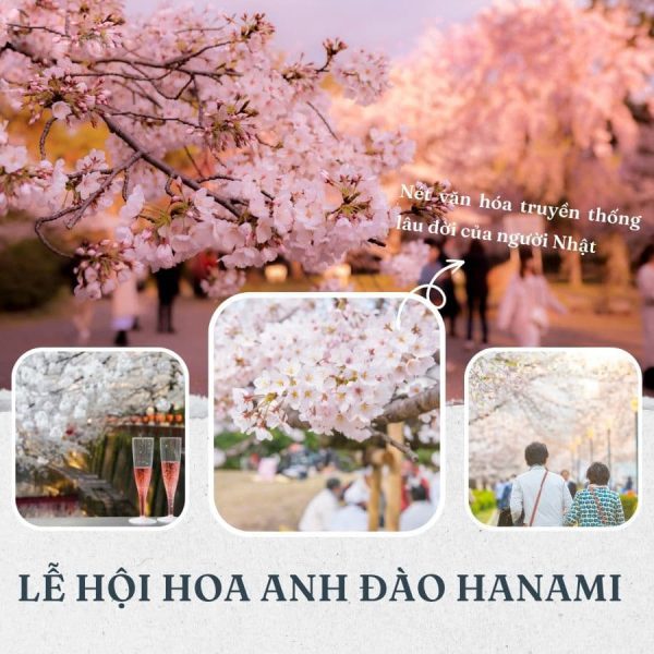 Lễ hội ngắm hoa anh đào Hanami