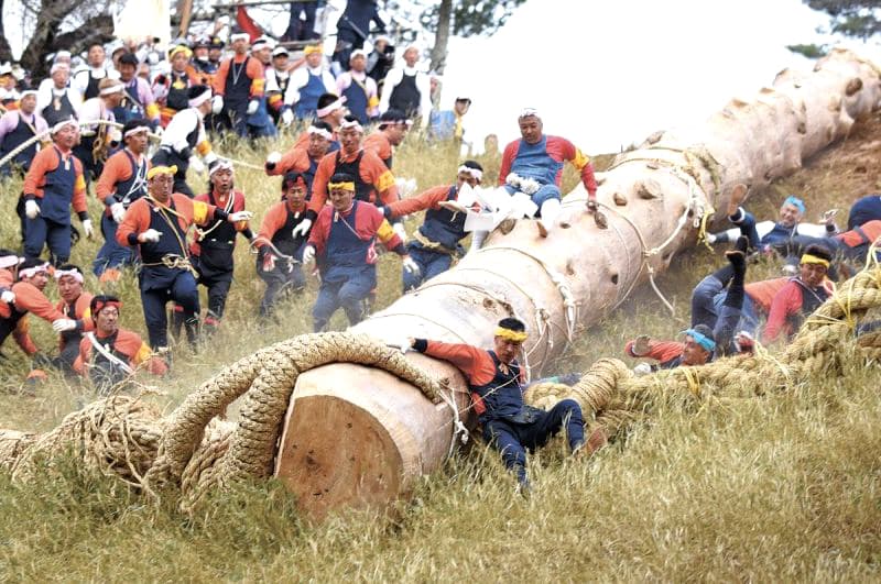 Lễ hội Onbashira | tỉnh Nagano Nhật Bản