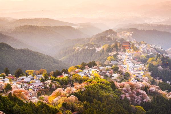Yoshino Mountain: Những trải nghiệm tuyệt vời trên ngọn núi hoa anh đào dãy núi Yoshino | Tỉnh Nara Nhật Bản