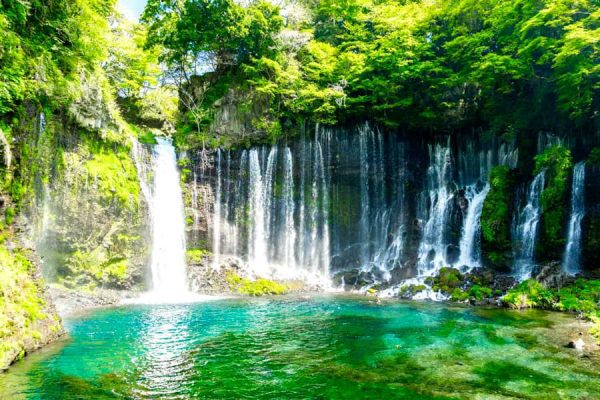 Tỉnh Shizuoka Nhật Bản: Thiên đường "Trà Xanh" ở vùng Chubu