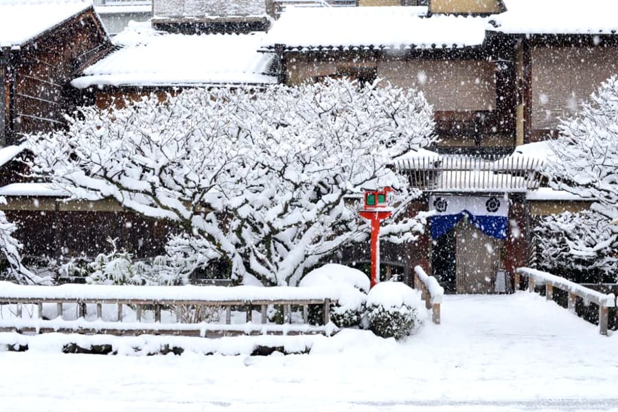 Tỉnh Kyoto Nhật Bản: "hơi thở" văn hóa của cố đô xứ anh đào