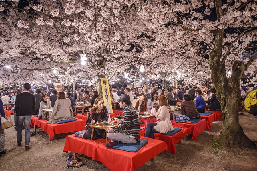 Tỉnh Kyoto Nhật Bản: "hơi thở" văn hóa của cố đô xứ anh đào