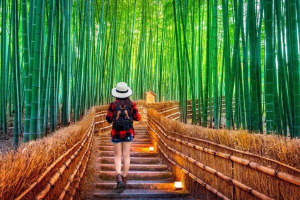 Tỉnh Kyoto Nhật Bản: "hơi thở" văn hóa của cố đô xứ anh đào