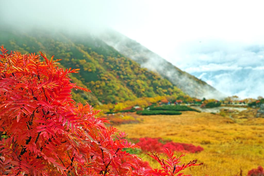 Tỉnh Nagano Nhật Bản: Vùng đất "cao nhất" tại xứ sở anh đào