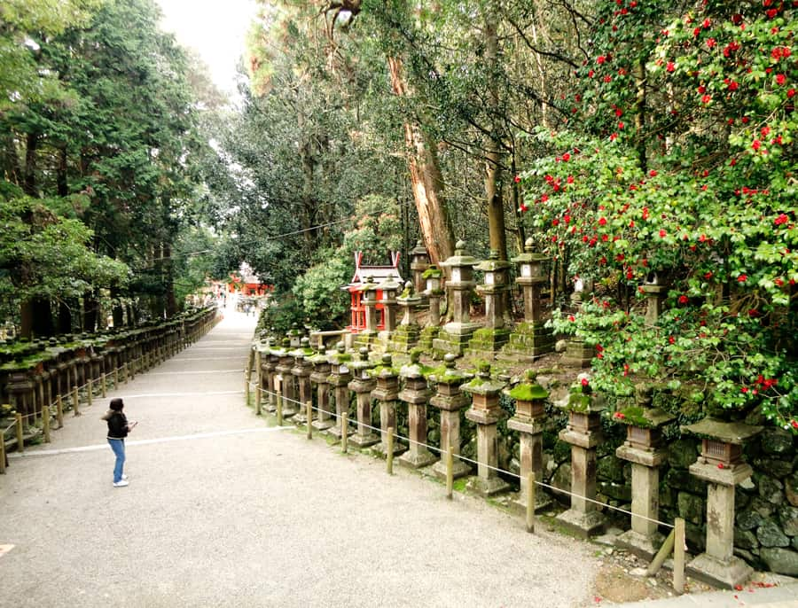 Tour du lịch Nara Nhật Bản