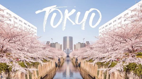 Tỉnh Tokyo Nhật Bản: Vẻ đẹp của Kinh đô ánh sáng xứ anh đào