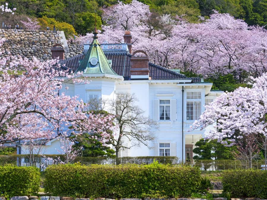 Tỉnh Tottori Nhật Bản: Vương quốc của những đồi cát lớn nhất Nhật Bản Tỉnh Tottori Nhật Bản: Vương quốc của những cồn cát xinh đẹp