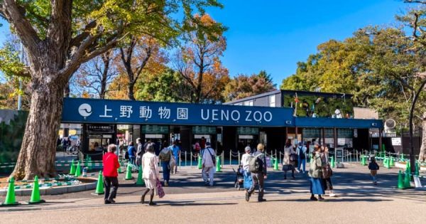 Hành trình du lịch Nhật Bản tự túc 14 ngày Ueno Zoo Tokyo