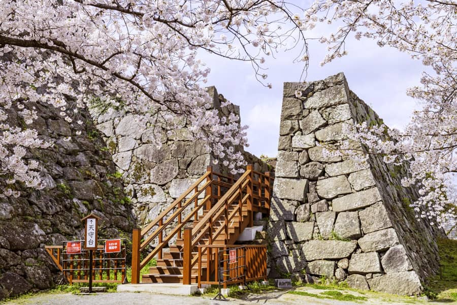 Fukuoka Castle Ruins (Lâu đài Maizuru) | Tỉnh Fukuoka Nhật Bản