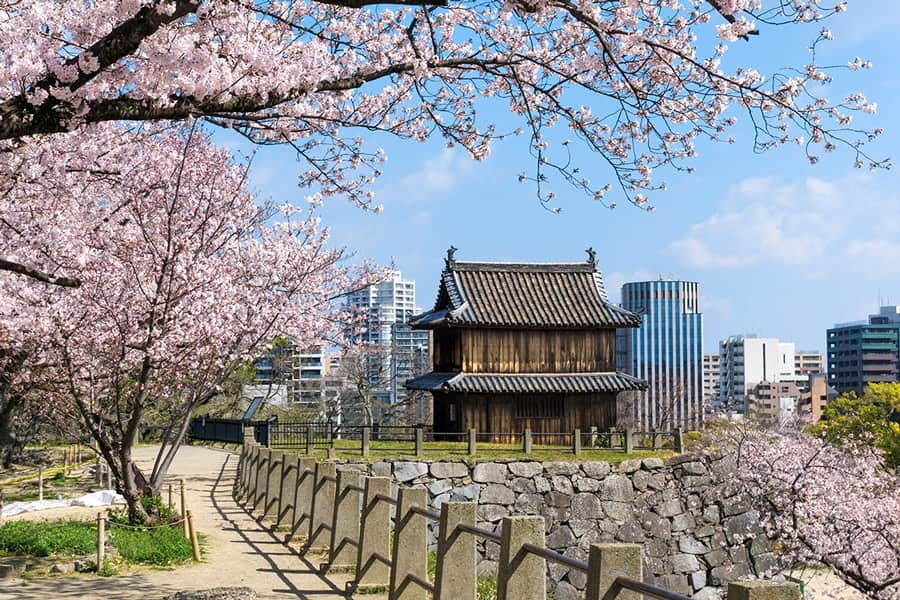 Fukuoka Castle Ruins (Lâu đài Maizuru) | Thành phố Fukuoka Nhật Bản